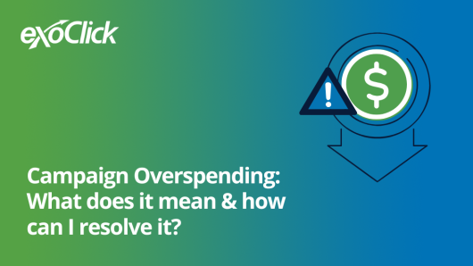 how to review your campaign to resolve the issue