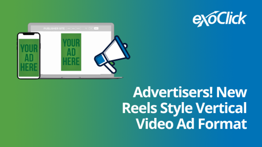 Reels Style Vertical Video Ad Format
